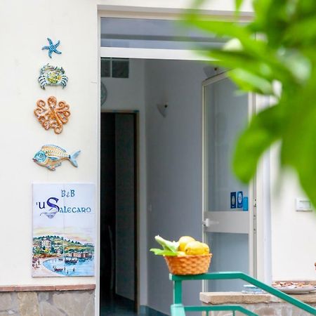 アグローポリ 'U Salecaro Bed & Breakfast エクステリア 写真